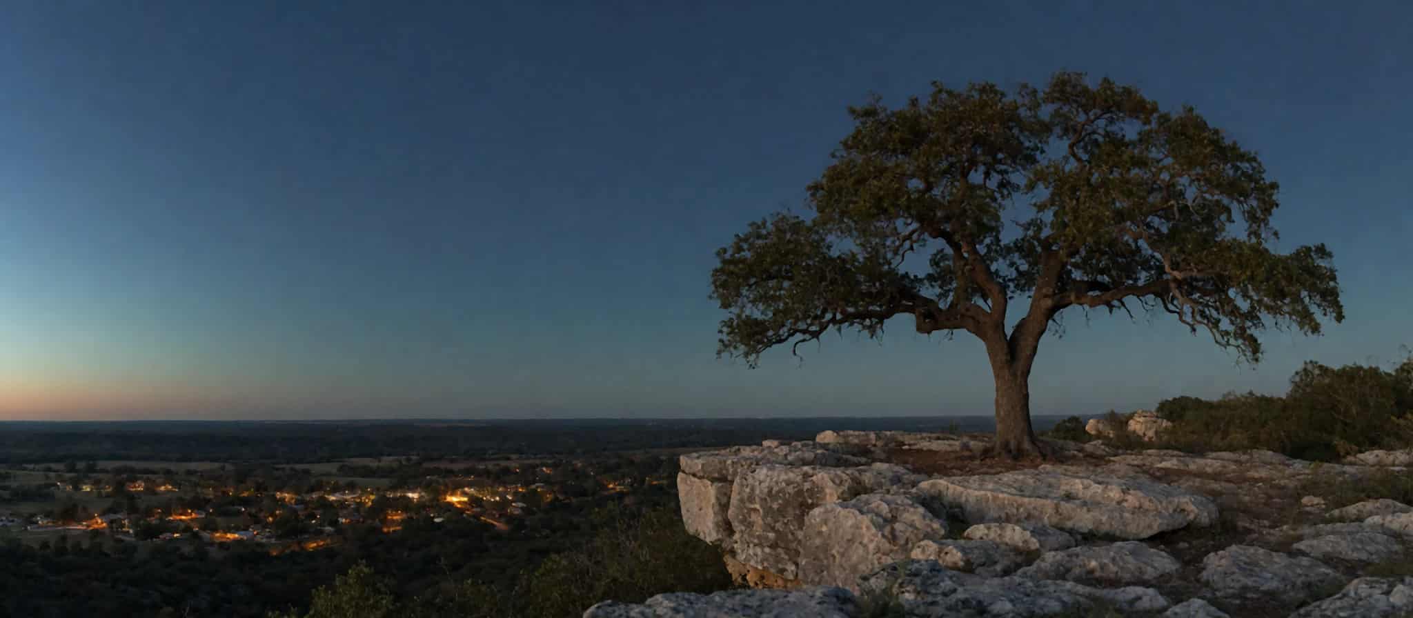 A broad live oak on a limestone outcrop above a valley of small-town lights at blue hour.